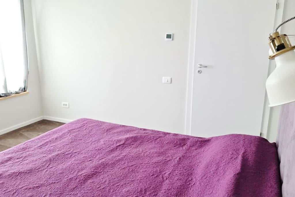 Pineview Lempes Villa Braşov Dış mekan fotoğraf