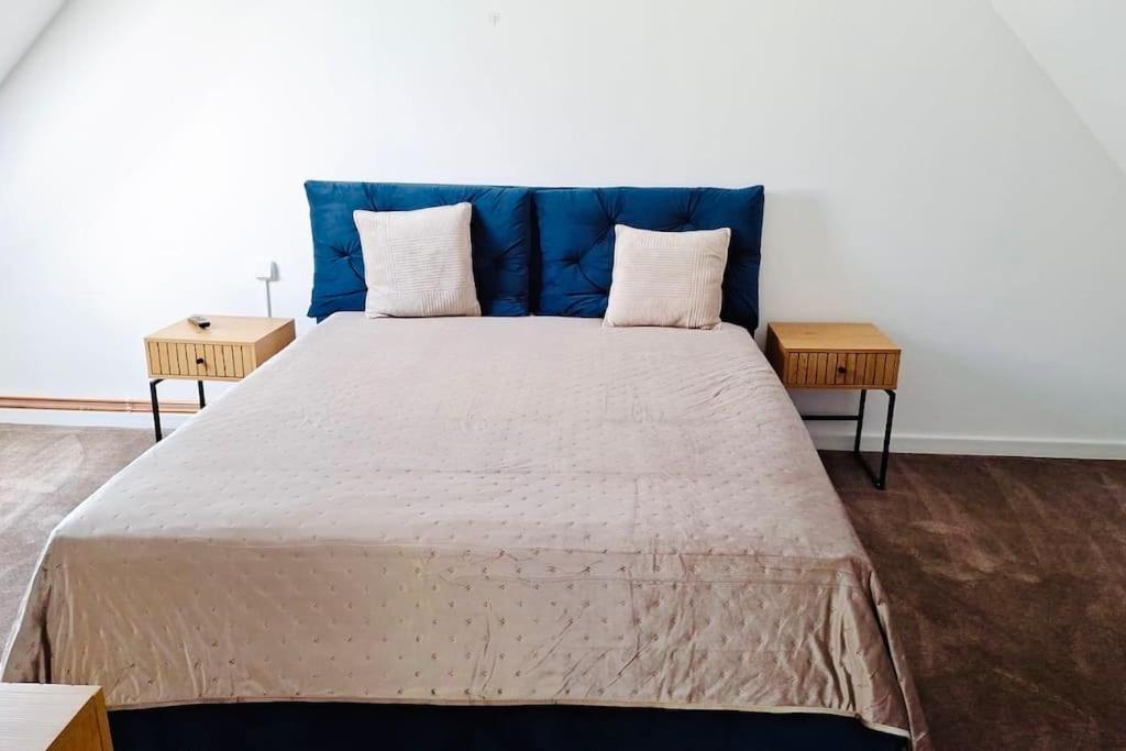 Pineview Lempes Villa Braşov Dış mekan fotoğraf