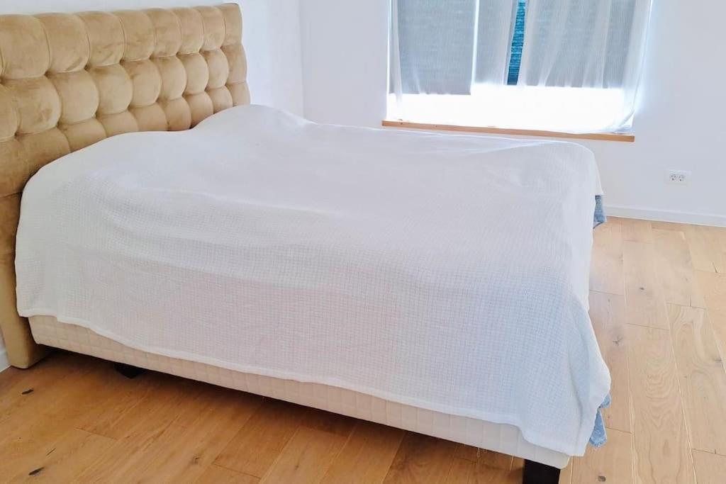 Pineview Lempes Villa Braşov Dış mekan fotoğraf